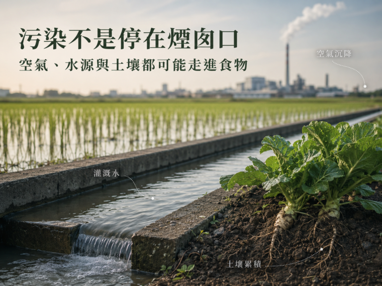 污染不是停在煙囪口：重金屬如何經由空氣、水源與土壤走進食物