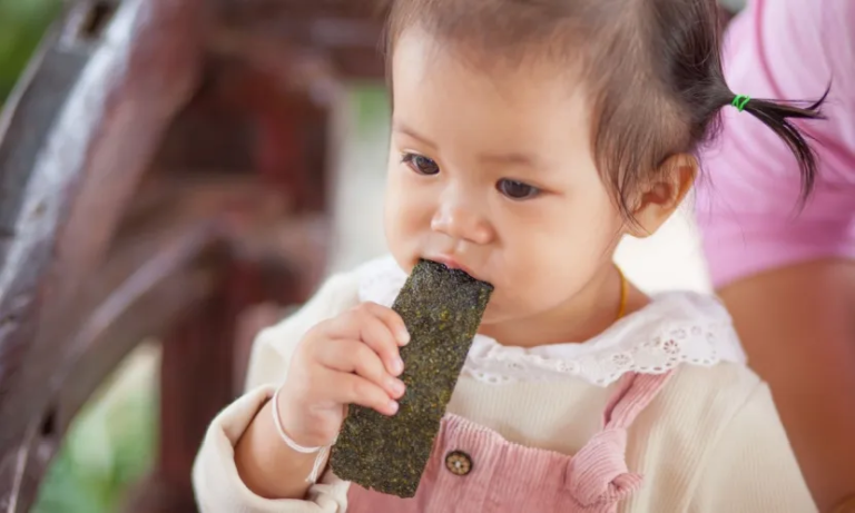 海苔竟藏重金屬！嬰幼兒海苔仙貝、初食拌飯鎘超標，醫師警告：傷害孩子大腦發育