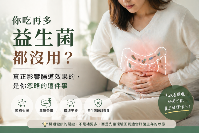 你吃再多益生菌都沒用？其實關鍵不是菌，而是你的腸道環境已被破壞